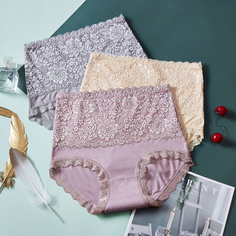 High Waisted Abdomen And Hips Sexy Lace Underwear Women Briefs - Hank Home Decor