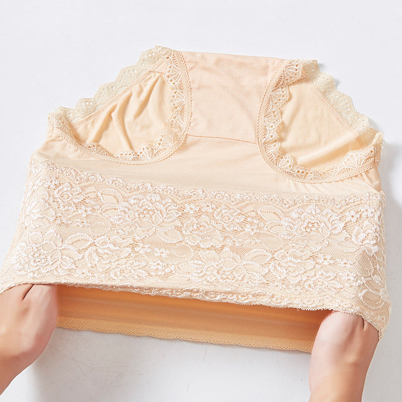 High Waisted Abdomen And Hips Sexy Lace Underwear Women Briefs - Hank Home Decor