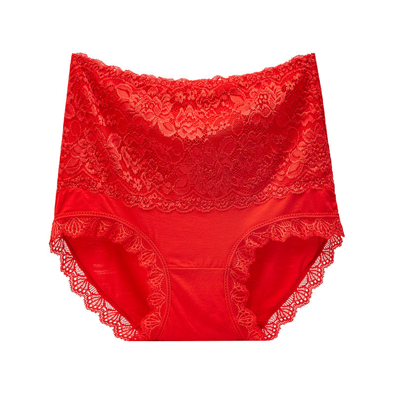 High Waisted Abdomen And Hips Sexy Lace Underwear Women Briefs - Hank Home Decor